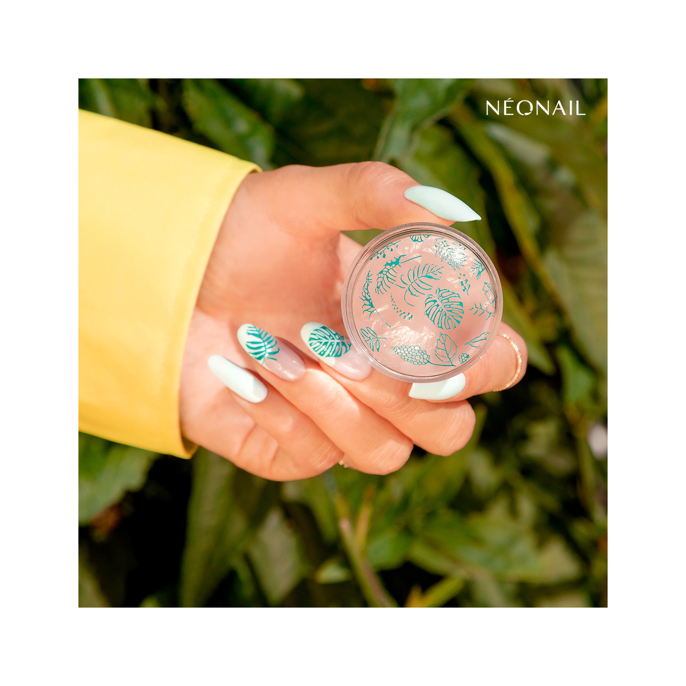 Razítkovací destička  Stamping plate 16 Razítkovací destička  Stamping plate 16