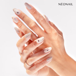 Cool Muse Collection Set