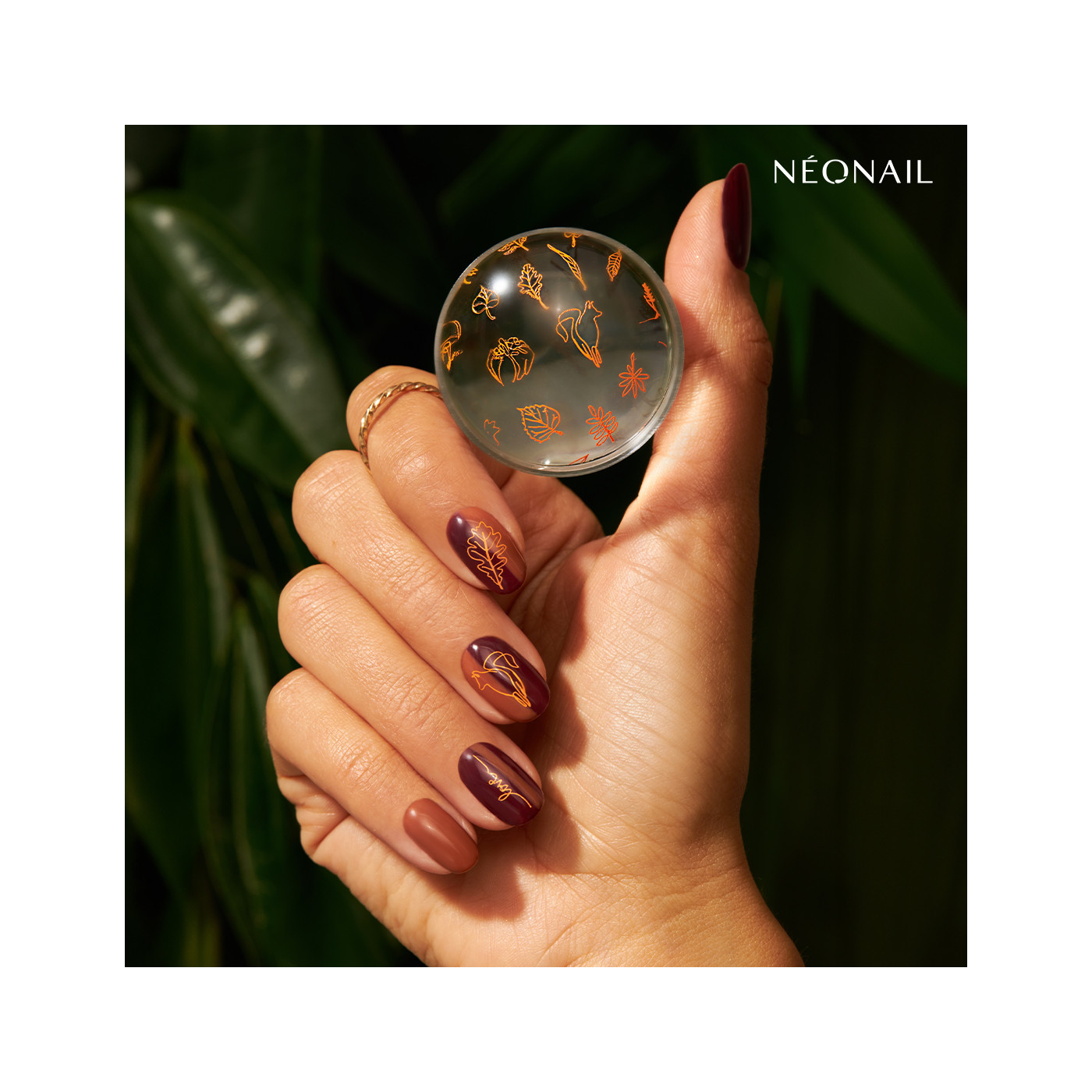 Raz&iacute;tkovac&iacute; destička  Stamping plate 24