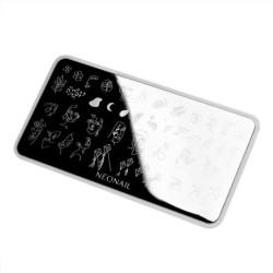 Raz&iacute;tkovac&iacute; destička č. 29|10857|