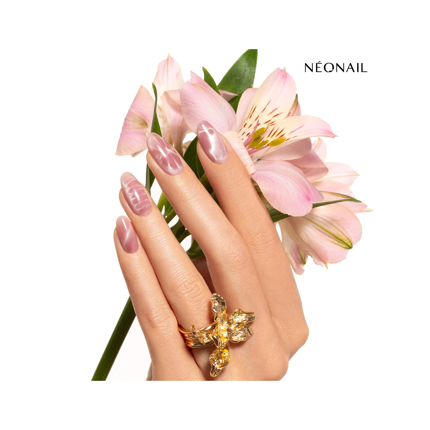 Glimmering Blush &ndash; jak vytvořit efekt kočič&iacute;ho oka v odst&iacute;nu světle růžov&eacute;