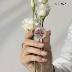 Květinov&aacute; dekorace Růžov&aacute; 01