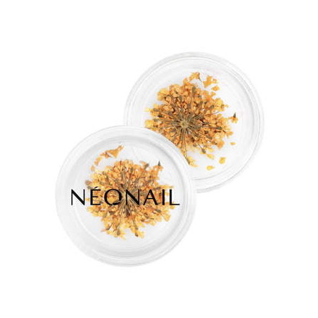 Dekorace z pomerančov&yacute;ch květů 03