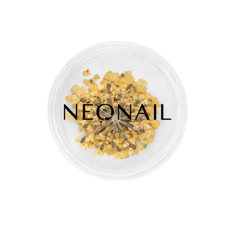 Květinov&aacute; Dekorace 07| 11088