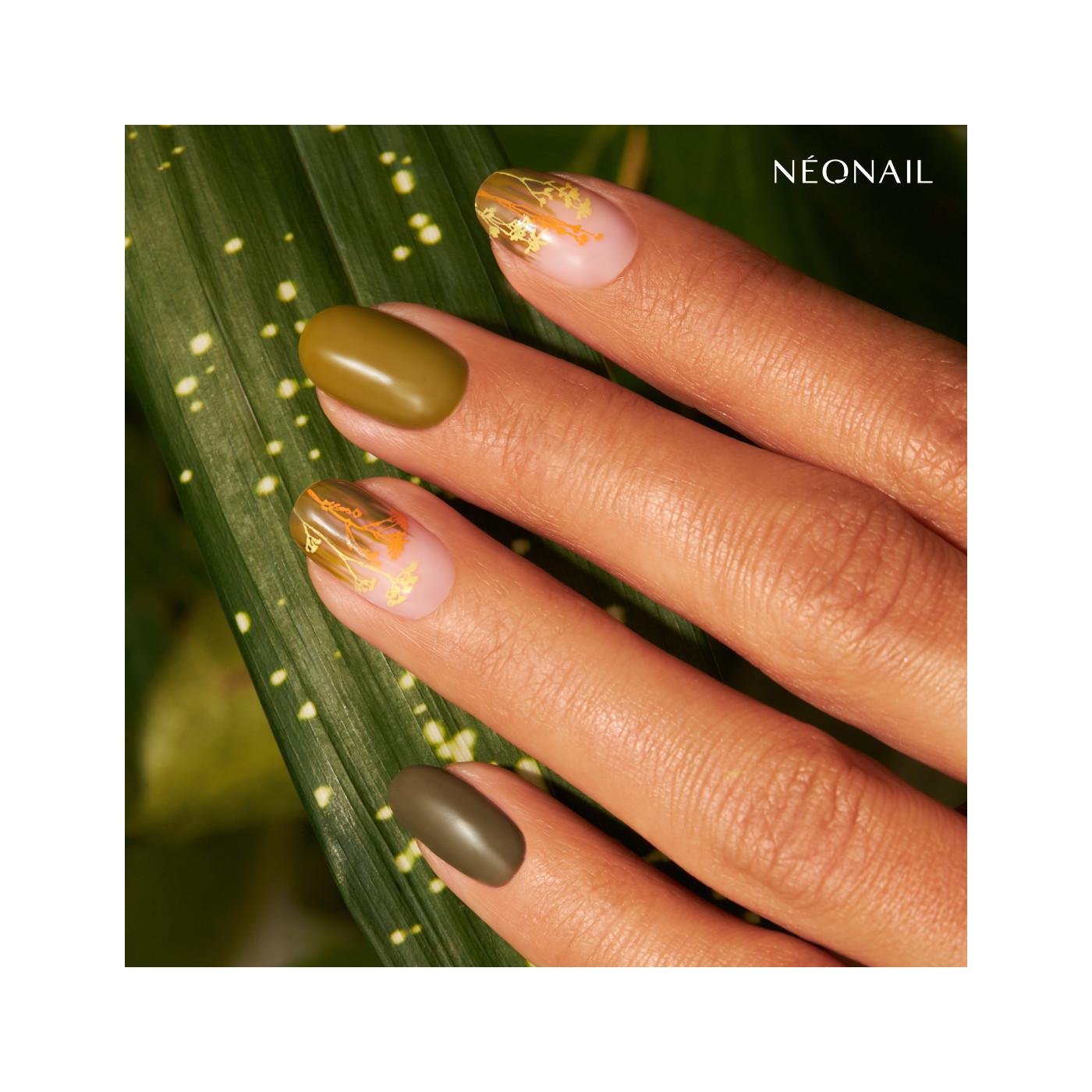 Raz&iacute;tkovac&iacute; destička  Stamping plate 22