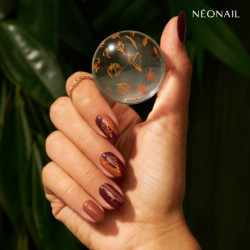 Raz&iacute;tkovac&iacute; destička  Stamping plate 24