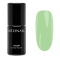 Gelov&yacute; lak Eternal Fantasies 7,2 ml | NEONAIL