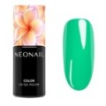 Zelen&yacute; UV gel lak Limitless Green &ndash; trendov&yacute; odst&iacute;n pro stylovou manik&uacute;ru