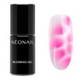 Bezbarv&yacute; gel na zdoben&iacute; Blooming Gel &ndash; zpestřen&iacute; s efektem blur