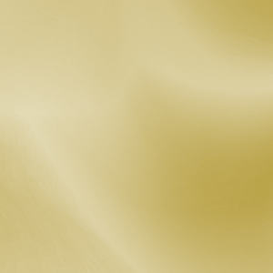 icon-1599