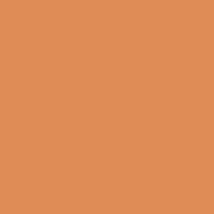 icon-1607